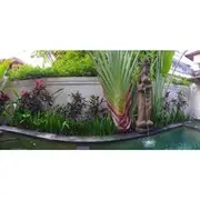 Juada Garden