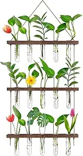 EVEAGE Propagation Station, Wall Hanging Planter Terrarium Retro 3 Tiered Propagation Test Tube for Hydroponic Plants Cutting Home Office Garden Decor with 16 Glass Tubes.