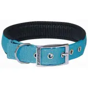 Turquoise Soft Padded Dog Collar - 25mm x 51cm Chrome Plated Buckle (Prestige Pet)
