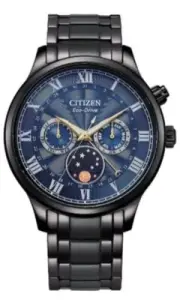 Citizen Ecodrive AP1055-87L