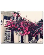Ready2HangArt Chances Are Wrapped Canvas Wall Art by Joelle Joy