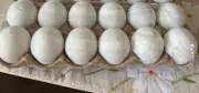 12 Faux Easter Eggs White Paintable Chicken eggs Crafts