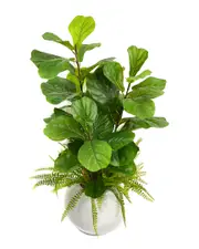 Creative Displays Faux Fiddle Leaf Fig Plant NoSize NoColor