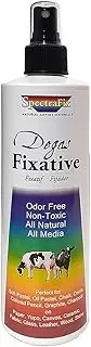 SpectraFix Degas Spray Fixative SF-31270 (12 oz Spray Bottle)
