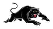 PENRITH PANTHERS TEAM POSTER,NRL RUGBY, STORM,DOGS EELS RABBITOHS COWBOYS ROOSTE
