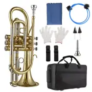 Bb Cornet Brass Instrument Surface Paint Professional Brass J2R4