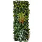 Artificial Plants Grass Wall Panel Boxwood Hedge 15.74Inch *47.24Inch Faux Fake