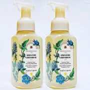2 Bath & Body Works SPRINGTIME GREENHOUSE Gentle Foaming Hand Soap 8.75 oz