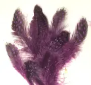 Spotted Guinea Hen Feathers 1-4" Body Plumage PURPLE dyed 1/4 oz bag