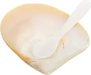 COLLBATH Shell Conch Caviar Holder Home Décor Ocean Theme Dish Desktop Accessory