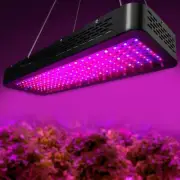 2 PCS LED Grow Light Kits Full Spectrum Indoor Plant Hydroponic System 2000W