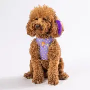 Step-in Air Dog Harness All Weather Air Mesh Vest Harness for (XS, ICE Cream)