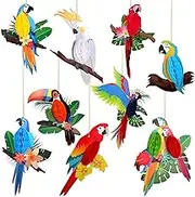 9 Pieces Tropical Birds Honeycomb Paper Cutouts Rio Luau Party Hanging Decorations Rainforest Hanging Paper Birds Hawaiian Summer Parrot Honeycomb Cutouts for Luau Summer Party Decor