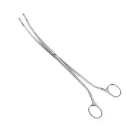 Set of 2 Desjardin-Rochester Gall Stone Forceps, 9", Slightly Curved, Sz: 1