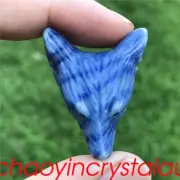 1pc Natural blue Aventurine Wolf Skull Quartz Crystal Carved Decor Pendant Gem