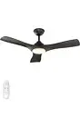 Ceiling Fan with Lights Remote Control, 42-Inch, Silent DC Motor, 6 Speed, Di...