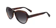 Derek Lam Logan BWNST Men's Sunglasses Brown Size 52