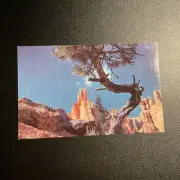 Queens Garden Bryce Canyon National Park Utah UT Postcard B23