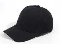 在飛比找Yahoo!奇摩拍賣優惠-BIRDYEDGE監製 素面 鴨舌帽 版帽 硬挺 料質 老帽