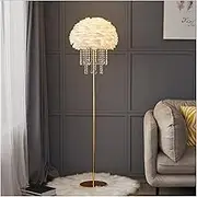 Indoor Floor Lamps Floor Lamp Feather Crystal Living Room Sofa Side Bedroom Bedside Warm Standing Lamp (Excluding Light Source) Standing Lamp(White)