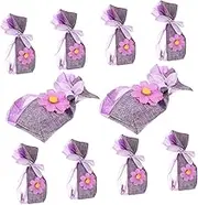 Healeved 10pcs Perfume Sachet Pendants Tiny Bags Decorative Lavender Pouch Lavender Sachet Bag Empty Perfume Bags Lavender Satchel Locket Purple Polyester Cotton Car Decorative Bag