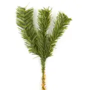 Bulk Lot of 36 Artificial Artificial Canadian Pine 11" Sprays