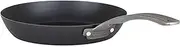 [Viking] Culinary Blue Carbon Steel Steel Nonstick Fry Pan, 10 Inch, Ergonomic Stay-Cool Handle, Grill, Oven Safe, Works on All Cooktops Including Induction