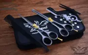 6" Barber Hairdressing Scissors Professional Set, Straight Thinning Razor Kit US