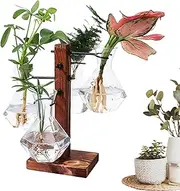 Plant Propagation Station - Hydroponic Bulb Glass Vase | Modern Plant Propagation Station, Air Planter Bulb Glass Vase for Home Desktop Hydroponics Planter Holde
