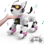 Remote Control Robot Dog for Girls, Smart Interactive Programmable RC Dog, Girl