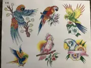 Tattoo flash, #1 C thru #200 C J.D. Crowe color sheets, Spaulding & Rogers