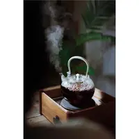 在飛比找ETMall東森購物網優惠-溪山原創玻璃燒水壺煮茶壺提梁壺功夫茶具