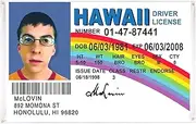 Buduidry McLovin ID Flag Banner, 3x5 Feet Funny Flags for Room Outdoor Flag, College Dorm Room Decor Indoor Outdoor Flag.