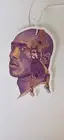 Kobe Bryant Mamba GOAT Car Air Freshener - Grape Scent - NBA Legend LA Lakers