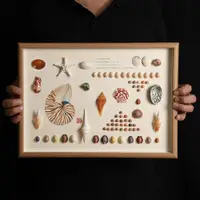 在飛比找ETMall東森購物網優惠-天然貝殼標本海螺相框diy手工裝裱制作展示擺臺家居裝飾立體掛