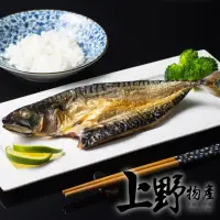 在飛比找momo購物網優惠-【上野物產】10片 宜蘭 薄鹽鯖魚(150g±10%/片 海