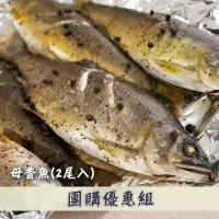 在飛比找台灣好農優惠-(8包組)宜蘭游大哥的爆卵母香魚(500g；2尾入)