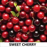 Fragrance Oil For Candle Soap Perfume Oil Bath Body Diffuser Sweet Cherry