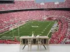 3D Ohio Stadium Self-adhesive Removeable Wallpaper Wall Mural 43