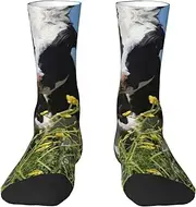 [JEJEA] Black White Cows print Socks For Men and Women Men's Moisture Control Crew Socks Gifts For Golf, Hunting, Camping