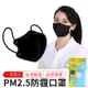 防霾口罩 PM2.5 口罩 防塵口罩 四層口罩 成人口罩 立體口罩 順易利 SUMEASY