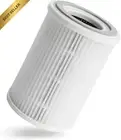 BLAST Auxiliary HEPA Air Filter Replacement for Smoke, Dust, Pet Dander