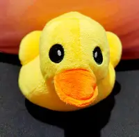 在飛比找Yahoo!奇摩拍賣優惠-黃色小鴨 娃娃 絨毛玩偶 填充玩具 模型 鴨子