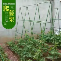 在飛比找蝦皮購物優惠-花架爬藤架 花園架 瓜棚架植物支架園藝包塑料管黃瓜番茄爬藤支