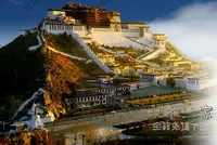 在飛比找樂天市場購物網優惠-拼圖 布達拉宮成人1000片木質拼圖500片西藏風景世界著名