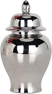 Generic Ceramic Vase/Ginger Jar/jar/Tea Storage Jar for Storage/Collection, Silver