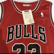Michell Ness Jersey Michael Jordan