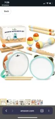 Baby Musical Instruments - Montessori Toys for Toddlers 1-3 |...