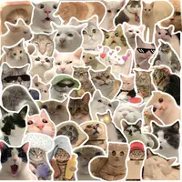 在飛比找momo購物網優惠-【zozo】貓咪表情防水貼紙50張 裝飾貼 行李箱貼 滑板貼
