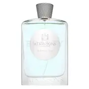 Atkinsons Robinson Bear Eau de Parfum Unisex 100 ml